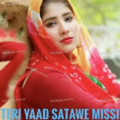 Teri Yaad Satawe Missi - Aslam Singer Mewati album cover 