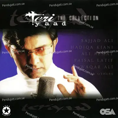 Zindagi Shart Hai - Waqar Ali album cover 