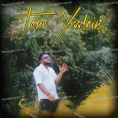 Teri Yaadein - Rit Kumar album cover 