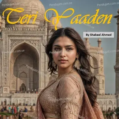 Teri Yaaden - Shakeel Ahmed album cover 