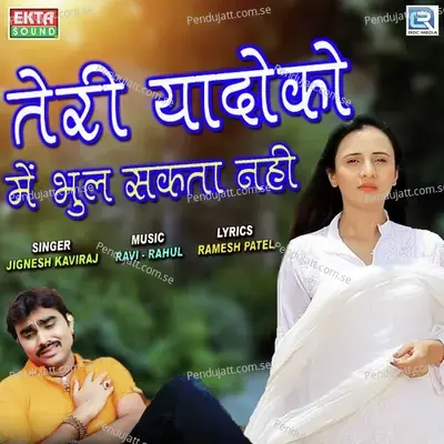 Teri Yaado Ko Main Bhul Sakta Nahi - Jignesh Kaviraj album cover 