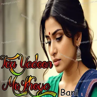 Teri Yaado Me Khoya - Bani album cover 