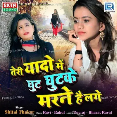 Teri Yaado Mein Ghut Ghutke Marne Hai Lage - Shital Thakor album cover 