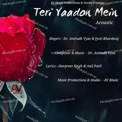 Teri Yaadon Mein Acoustic - Dr. Anirudh Vyas album cover 