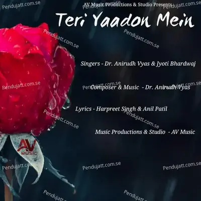 Teri Yaadon Mein - Dr. Anirudh Vyas album cover 