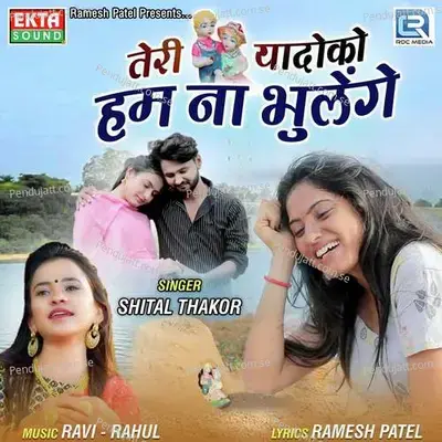 Teri Yaadonko Hum Na Bhulenge - Shital Thakor album cover 
