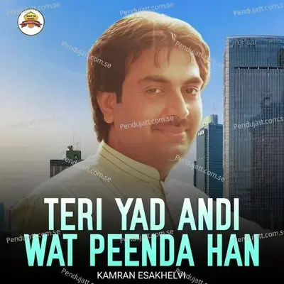 Teri Yad Andi Wat Peenda Han - Kamran Esakhelvi album cover 