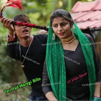 Teri Yad Maregi Billo - XT IRFAN ALWAR album cover 