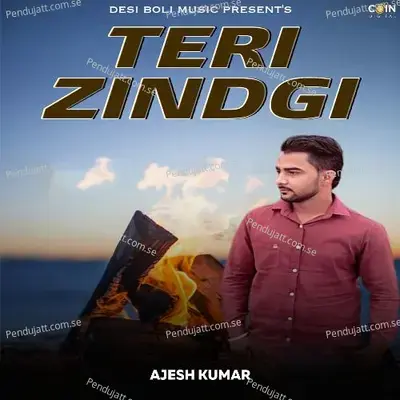 Teri Zindgi - Ajesh Kumar album cover 