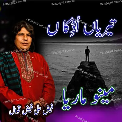 Terian Udeekan Menu Marya - Faiz Ali Faiz album cover 