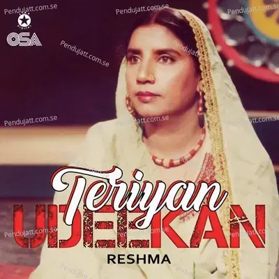 Banjariya Pyar Kahnon Tere Naal - Reshma album cover 