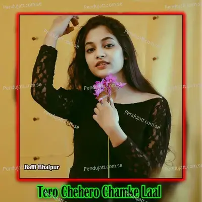 Tero Chehero Chamke Laal - Balli Bhalpur album cover 