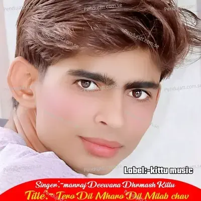 Tero Dil Mharo Dil Milab Chav - SINGER MANRAJ DEEWANA album cover 