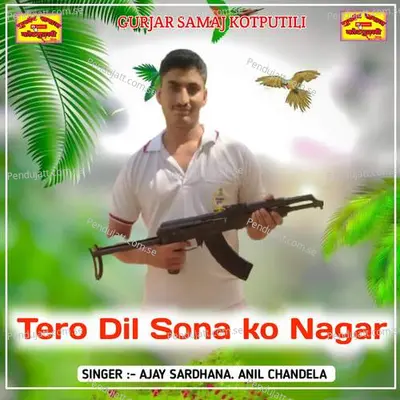 Tero Dil Sona Ko Nagar - Ajay Saradhna album cover 