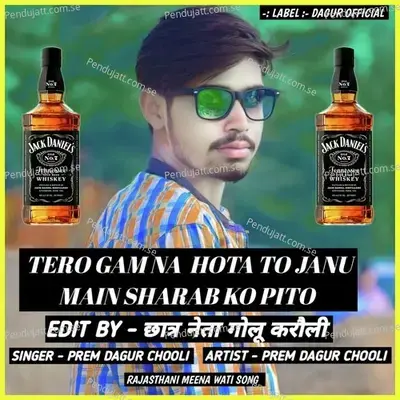 Tero Gam Na  Hota To Janu Main Sharab Ko Pito - PREM DAGUR CHOOLI album cover 