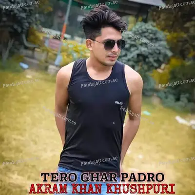 Tero Ghar Padro - Aslam Singer Mewati album cover 