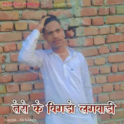 Tero Ke Bigde Lagvadi - KB Naredi album cover 