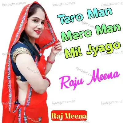 Tero Man Mero Man Mil Jyago - Raju Meena album cover 