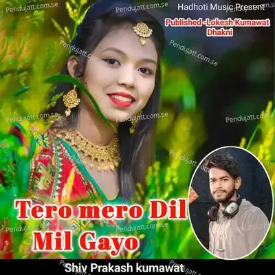 Tero Mero Dil Mil Gayo - Shiv Prakash Kumawat album cover 