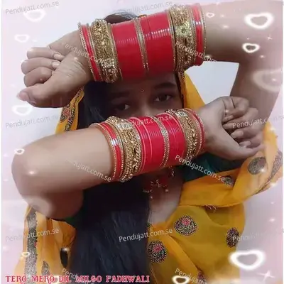 Tero Mero Dil Milgo Padhwali - Hemraj Kasana album cover 