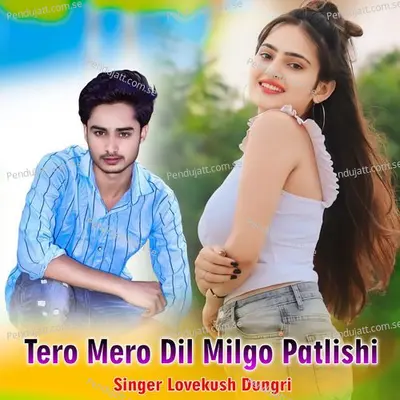 Tero Mero Dil Milgo Patlishi - Lovekush Dungri album cover 