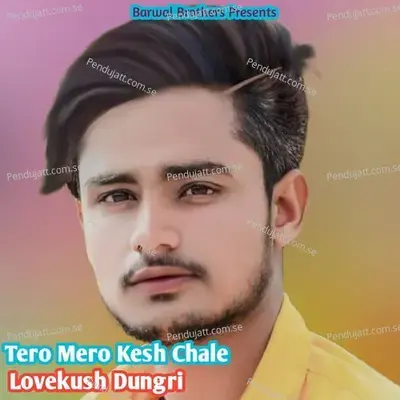 Tero Mero Kesh Chale - Lovekush Dungri