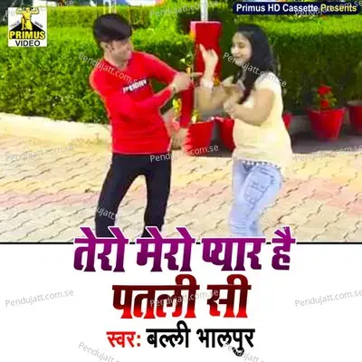 Tero Mero Pyar Hai Patli Si - Balli Bhalpur album cover 