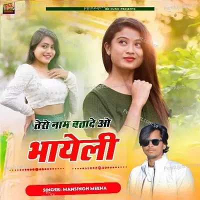 Tero Naam Batade O Bhayeli - Mansingh Meena album cover 