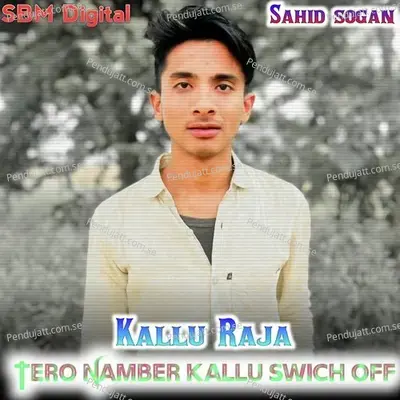 Tero Namber Kallu Swich Off - Sahid Sogan album cover 