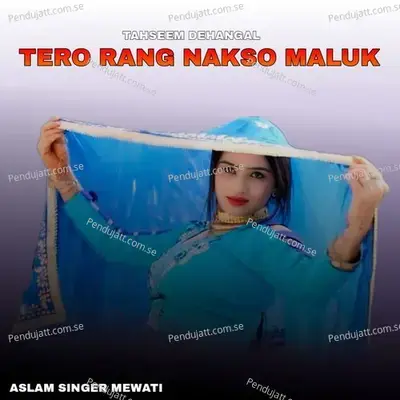 Tero Rang Nakso Maluk - Aslam Singer Mewati album cover 