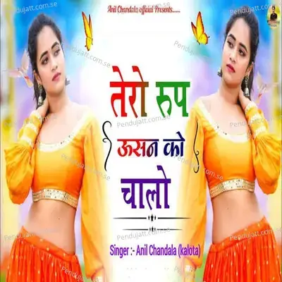 Tero Roop Usan Ka Chalo - Anil Chandela( Kalota) album cover 