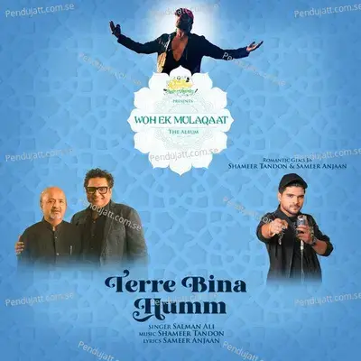 Terre Bina Humm - Salman Ali album cover 