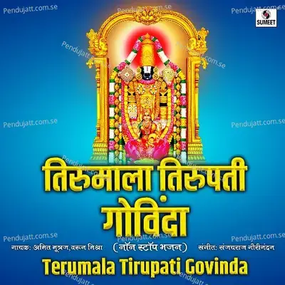 Terumala Tirupati Govinda - Amit Mutreja album cover 