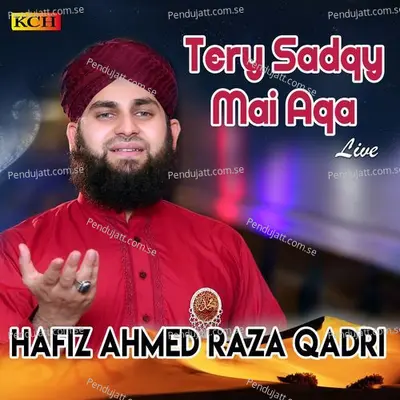 Mola Mera Ve Ghar Howay - Hafiz Ahmed Raza Qadri album cover 