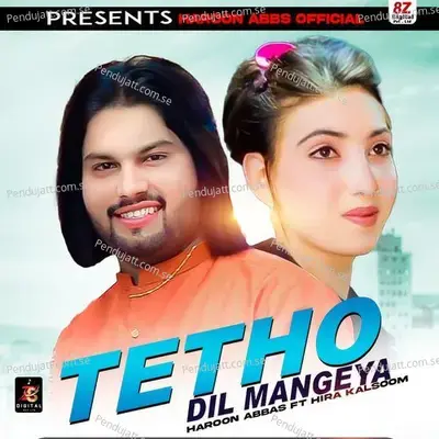 Tetho Dil Mangeya - Haroon Abbas album cover 