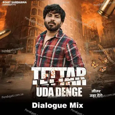 Tettar Uda Denge - Rohit Sardhana album cover 