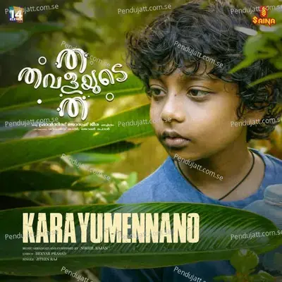 Karayumennano - Nikhil Rajan album cover 