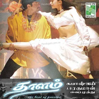 Thaalam - A.R. Rahman cover album