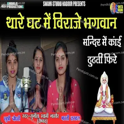 Thaare Ghat Me Viraaje Bhagwan - Sunita Swami album cover 