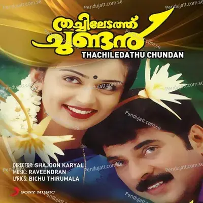 Kaduvaaye Kiduva - Raveendran Master album cover 