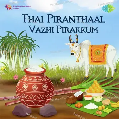Transplantation - K.S. Vasudevan album cover 