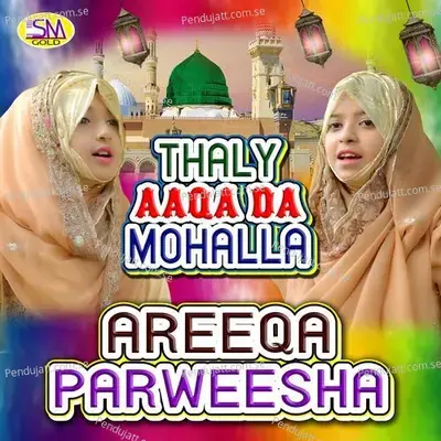 Thaly Aaqa Da Mohalla - Areeqa Parweesha album cover 