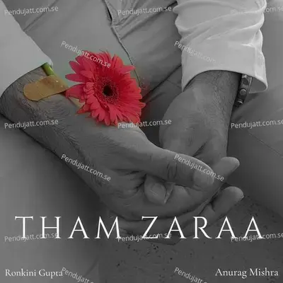 Tham Zaraa - Ronkini Gupta album cover 