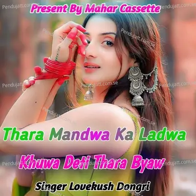 Thara Mandwa Ka Ladwa Khuwa Deti Thara Byaw - Lovekush Dungri album cover 