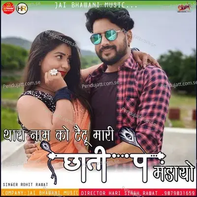 Thari Pal Pal Yaad Satave - Sabu Ratdiya Beawar album cover 