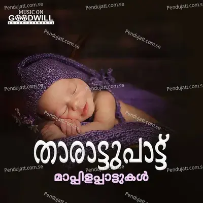 Thalelam Thalelam - Cochin Ibrahim album cover 