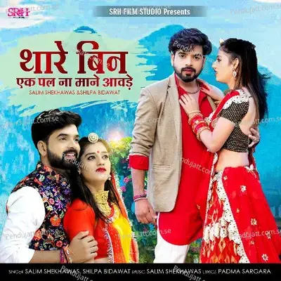Thare Bin Ek Pal Na Mane Aavde - Salim Shekhawas album cover 