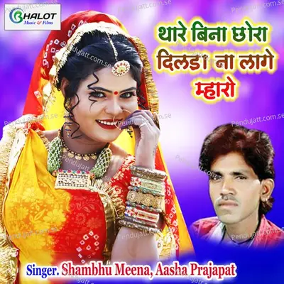 Thare Bina Chhora Dilda Na Lage Mharo - Shambhu Meena album cover 