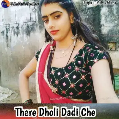 Thare Dholi Dadi Che - Vishnu Meena album cover 