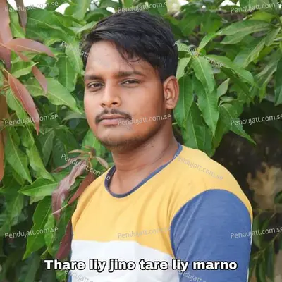 Thare Liy Jino Tare Liy Marno - Lovely Meena album cover 